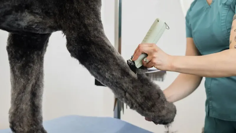 WAHL KMC+ Cordless - Zdjęcie 5